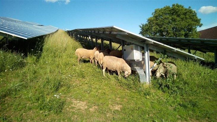 Ground Solar Panel Mounting Systems high quality