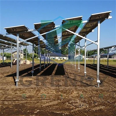 Agri-solárna montáž: Pre plodiny a hospodárske zvieratá