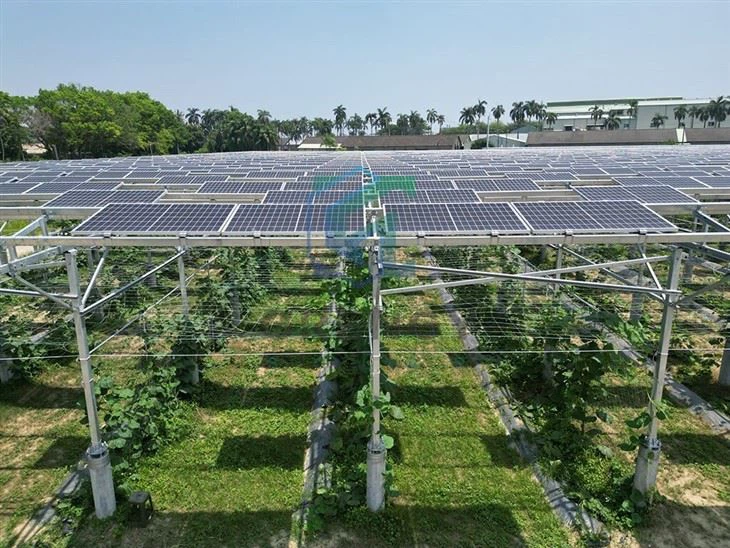 Ground-Mounted Solar Farms 2-4 Meters High
